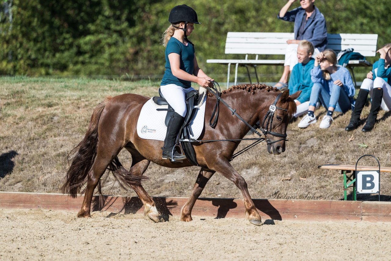 Bild 36 - Pony Akademie Turnier